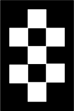 One white object with two black holes