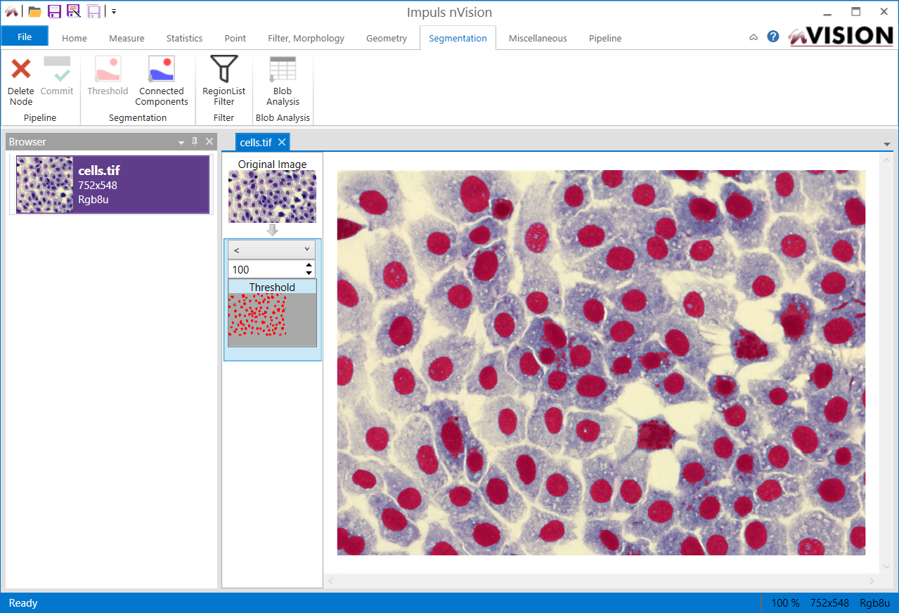 The result of the segmentation is overlaid in red on top of the image.