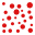 image229